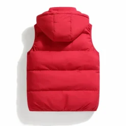 Truien & Vesten Heren*AAPO - Luchtig donzen puffervest voor de zomer