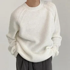 Truien & Vesten Heren*Audrick - Veelzijdige Lente/Zomer Lange Mouwen Gebreide Trui voor Mannen