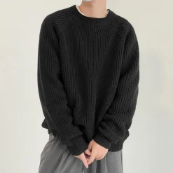 Truien & Vesten Heren*Audrick - Veelzijdige Lente/Zomer Lange Mouwen Gebreide Trui voor Mannen