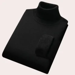 Truien & Vesten Heren*Beau - Casual coltrui voor heren