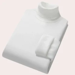 Truien & Vesten Heren*Beau - Casual coltrui voor heren