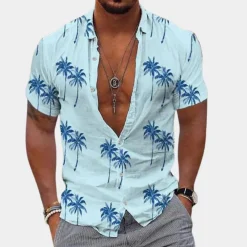Shirts Heren*Berne - Eenvoudig herenoverhemd voor de zomer