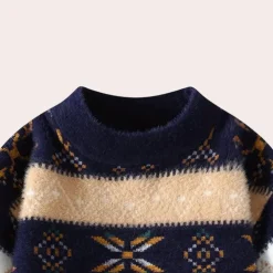 Truien & Vesten Heren*BIRDHIL - Elegante Trui voor Heren