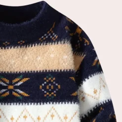 Truien & Vesten Heren*BIRDHIL - Elegante Trui voor Heren