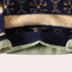 Truien & Vesten Heren*BIRDHIL - Elegante Trui voor Heren