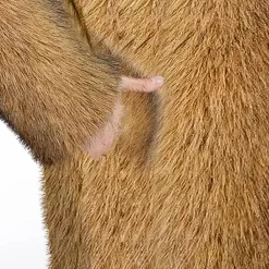 Jassen Heren*KAYL - Elegante Winterjas voor Heren