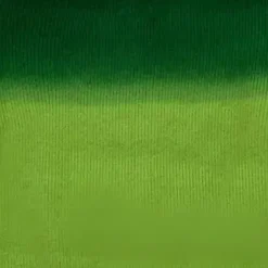 Truien & Vesten Dames*MARGE - Elegante Zomervest voor Dames Groen