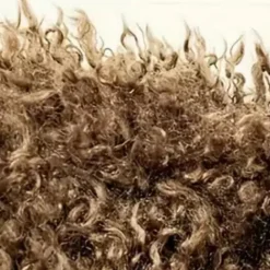 Truien & Vesten Dames*TATTINA - Klassiek Zomervest voor Dames Bruin